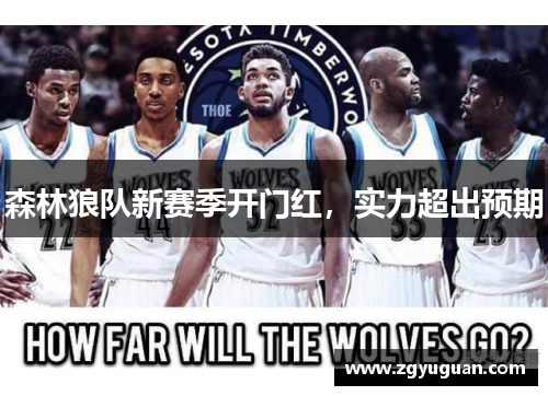 森林狼队新赛季开门红，实力超出预期