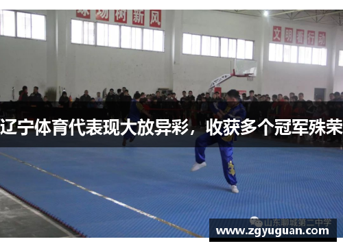 辽宁体育代表现大放异彩，收获多个冠军殊荣