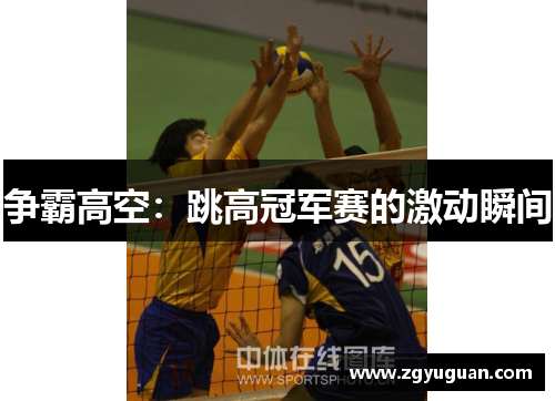 争霸高空：跳高冠军赛的激动瞬间