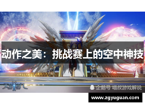 动作之美：挑战赛上的空中神技
